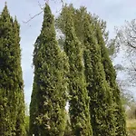 Agriturismo, Casa Archi *