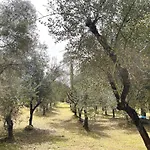 Agriturismo, Casa Archi *